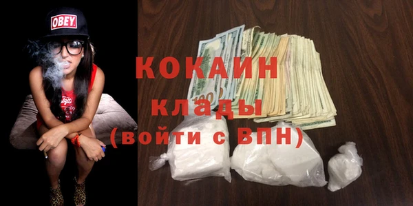 крисы Кулебаки
