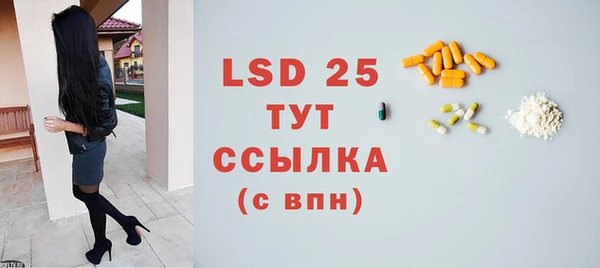 крисы Кулебаки