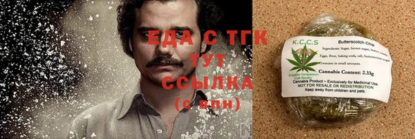 крисы Кулебаки