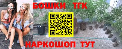 прущие грибы Абакан