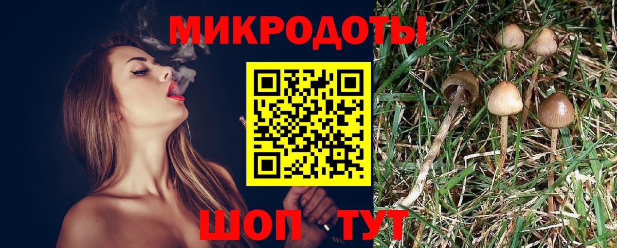 Псилоцибиновые грибы ЛСД  Чапаевск  Псилоцибиновые грибы Psilocybe 