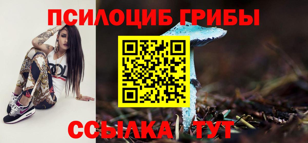 Псилоцибиновые грибы мухоморы Чапаевск